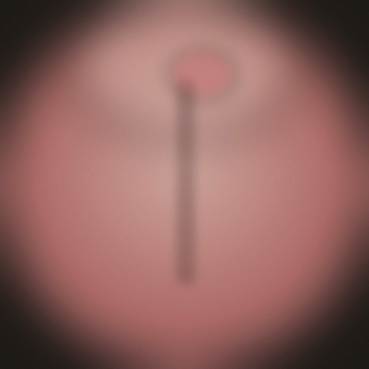 Abstract still-life plate in dusty rose and cream