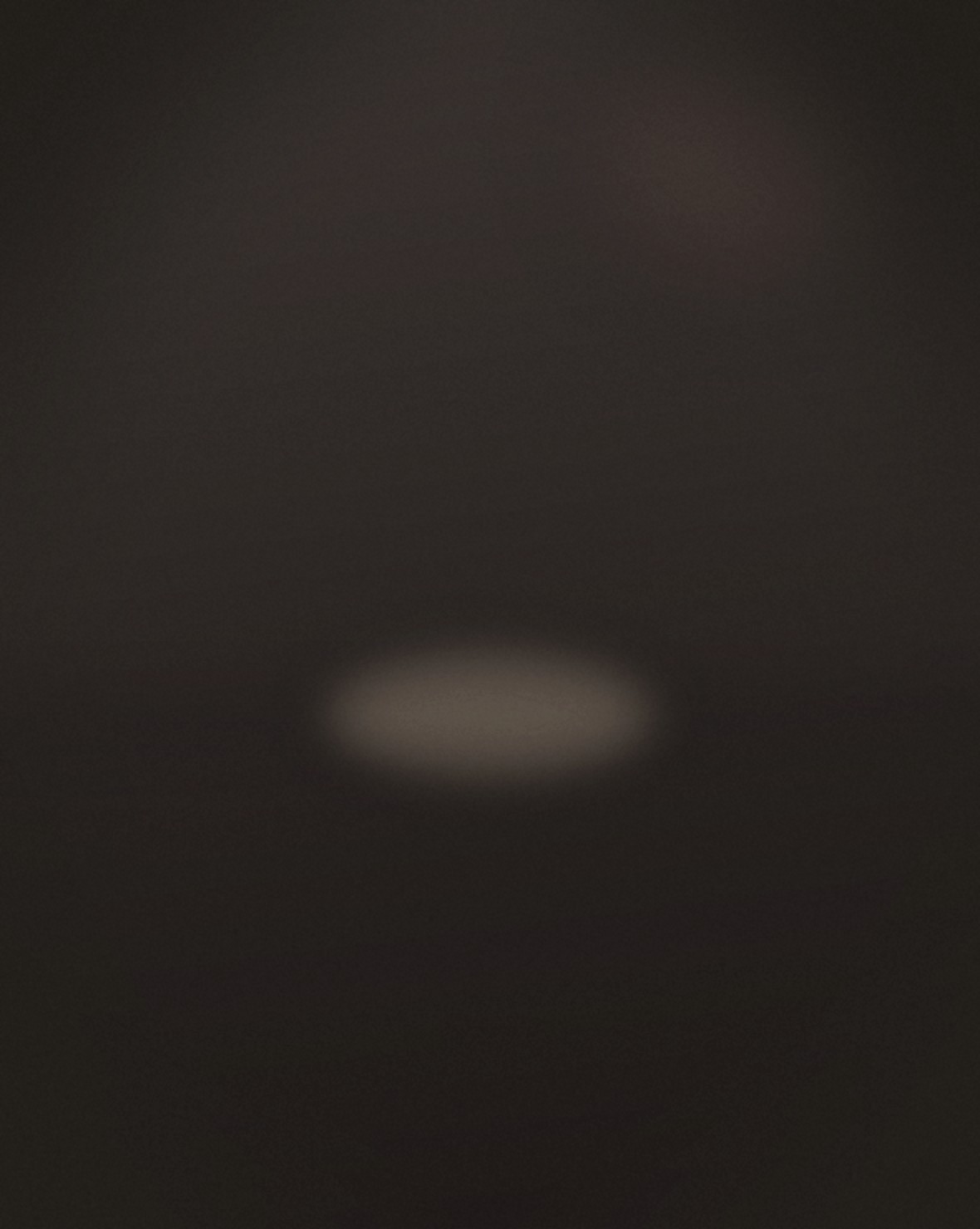 Abstract dark still-life plate